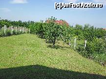 [P02] Pensiunea Hil - curtea interioară » foto by danoradea
 - 
<span class="allrVoted glyphicon glyphicon-heart hidden" id="av424758"></span>
<a class="m-l-10 hidden" id="sv424758" onclick="voting_Foto_DelVot(,424758,14242)" role="button">șterge vot <span class="glyphicon glyphicon-remove"></span></a>
<a id="v9424758" class=" c-red"  onclick="voting_Foto_SetVot(424758)" role="button"><span class="glyphicon glyphicon-heart-empty"></span> <b>LIKE</b> = Votează poza</a> <img class="hidden"  id="f424758W9" src="/imagini/loader.gif" border="0" /><span class="AjErrMes hidden" id="e424758ErM"></span>
