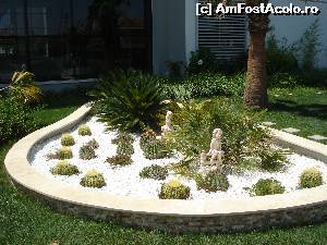 [P03] Hotel Palm Wings, Davutlar-decor langa intrarea principala » foto by adryana
 - 
<span class="allrVoted glyphicon glyphicon-heart hidden" id="av528492"></span>
<a class="m-l-10 hidden" id="sv528492" onclick="voting_Foto_DelVot(,528492,14245)" role="button">șterge vot <span class="glyphicon glyphicon-remove"></span></a>
<a id="v9528492" class=" c-red"  onclick="voting_Foto_SetVot(528492)" role="button"><span class="glyphicon glyphicon-heart-empty"></span> <b>LIKE</b> = Votează poza</a> <img class="hidden"  id="f528492W9" src="/imagini/loader.gif" border="0" /><span class="AjErrMes hidden" id="e528492ErM"></span>