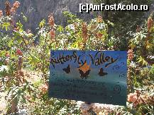 [P12] Butterfly Valley de jos » foto by iulian.chiper
 - 
<span class="allrVoted glyphicon glyphicon-heart hidden" id="av425394"></span>
<a class="m-l-10 hidden" id="sv425394" onclick="voting_Foto_DelVot(,425394,14258)" role="button">șterge vot <span class="glyphicon glyphicon-remove"></span></a>
<a id="v9425394" class=" c-red"  onclick="voting_Foto_SetVot(425394)" role="button"><span class="glyphicon glyphicon-heart-empty"></span> <b>LIKE</b> = Votează poza</a> <img class="hidden"  id="f425394W9" src="/imagini/loader.gif" border="0" /><span class="AjErrMes hidden" id="e425394ErM"></span>
