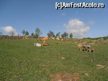 [P10]  -- <small>// FĂRĂ DESCRIERE</small> » foto by FLORINA SIMON
 - 
<span class="allrVoted glyphicon glyphicon-heart hidden" id="av426296"></span>
<a class="m-l-10 hidden" id="sv426296" onclick="voting_Foto_DelVot(,426296,14277)" role="button">șterge vot <span class="glyphicon glyphicon-remove"></span></a>
<a id="v9426296" class=" c-red"  onclick="voting_Foto_SetVot(426296)" role="button"><span class="glyphicon glyphicon-heart-empty"></span> <b>LIKE</b> = Votează poza</a> <img class="hidden"  id="f426296W9" src="/imagini/loader.gif" border="0" /><span class="AjErrMes hidden" id="e426296ErM"></span>