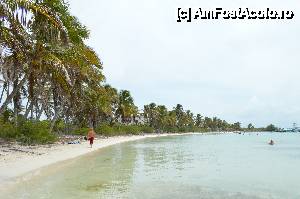 [P09]  -- <small>// FĂRĂ DESCRIERE</small> » foto by rayden
 - 
<span class="allrVoted glyphicon glyphicon-heart hidden" id="av426992"></span>
<a class="m-l-10 hidden" id="sv426992" onclick="voting_Foto_DelVot(,426992,14286)" role="button">șterge vot <span class="glyphicon glyphicon-remove"></span></a>
<a id="v9426992" class=" c-red"  onclick="voting_Foto_SetVot(426992)" role="button"><span class="glyphicon glyphicon-heart-empty"></span> <b>LIKE</b> = Votează poza</a> <img class="hidden"  id="f426992W9" src="/imagini/loader.gif" border="0" /><span class="AjErrMes hidden" id="e426992ErM"></span>