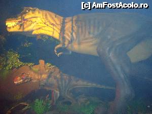 [P09] t-rex » foto by buterfly*
 - 
<span class="allrVoted glyphicon glyphicon-heart hidden" id="av503551"></span>
<a class="m-l-10 hidden" id="sv503551" onclick="voting_Foto_DelVot(,503551,14290)" role="button">șterge vot <span class="glyphicon glyphicon-remove"></span></a>
<a id="v9503551" class=" c-red"  onclick="voting_Foto_SetVot(503551)" role="button"><span class="glyphicon glyphicon-heart-empty"></span> <b>LIKE</b> = Votează poza</a> <img class="hidden"  id="f503551W9" src="/imagini/loader.gif" border="0" /><span class="AjErrMes hidden" id="e503551ErM"></span>