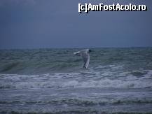 [P39] Un Dover prea îndepărtat - sau ce trebuie să fi simțit soldații englezi captivi la Dunkerque...  » foto by makuy*
 - 
<span class="allrVoted glyphicon glyphicon-heart hidden" id="av428695"></span>
<a class="m-l-10 hidden" id="sv428695" onclick="voting_Foto_DelVot(,428695,14314)" role="button">șterge vot <span class="glyphicon glyphicon-remove"></span></a>
<a id="v9428695" class=" c-red"  onclick="voting_Foto_SetVot(428695)" role="button"><span class="glyphicon glyphicon-heart-empty"></span> <b>LIKE</b> = Votează poza</a> <img class="hidden"  id="f428695W9" src="/imagini/loader.gif" border="0" /><span class="AjErrMes hidden" id="e428695ErM"></span>