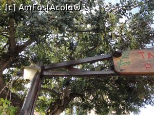 [P13] Copacul cu roșcove, chiar la taverna Patriko.  » foto by maryka
 - 
<span class="allrVoted glyphicon glyphicon-heart hidden" id="av943013"></span>
<a class="m-l-10 hidden" id="sv943013" onclick="voting_Foto_DelVot(,943013,14327)" role="button">șterge vot <span class="glyphicon glyphicon-remove"></span></a>
<a id="v9943013" class=" c-red"  onclick="voting_Foto_SetVot(943013)" role="button"><span class="glyphicon glyphicon-heart-empty"></span> <b>LIKE</b> = Votează poza</a> <img class="hidden"  id="f943013W9" src="/imagini/loader.gif" border="0" /><span class="AjErrMes hidden" id="e943013ErM"></span>