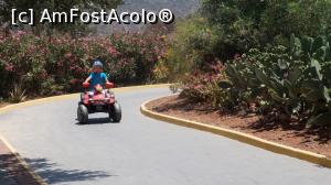 [P36] CU ATV UL IN LABIRINT. SUPER FAIN TRASEUL.  » foto by adutza_ghiocel
 - 
<span class="allrVoted glyphicon glyphicon-heart hidden" id="av756878"></span>
<a class="m-l-10 hidden" id="sv756878" onclick="voting_Foto_DelVot(,756878,14327)" role="button">șterge vot <span class="glyphicon glyphicon-remove"></span></a>
<a id="v9756878" class=" c-red"  onclick="voting_Foto_SetVot(756878)" role="button"><span class="glyphicon glyphicon-heart-empty"></span> <b>LIKE</b> = Votează poza</a> <img class="hidden"  id="f756878W9" src="/imagini/loader.gif" border="0" /><span class="AjErrMes hidden" id="e756878ErM"></span>