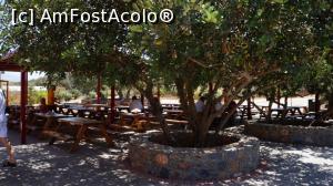 [P40] RESTAURANTUL DIN LABIRINT. UMBROS, SUPER FAIN AMPLASAT SI CU PRETURI NORMALE » foto by adutza_ghiocel
 - 
<span class="allrVoted glyphicon glyphicon-heart hidden" id="av756882"></span>
<a class="m-l-10 hidden" id="sv756882" onclick="voting_Foto_DelVot(,756882,14327)" role="button">șterge vot <span class="glyphicon glyphicon-remove"></span></a>
<a id="v9756882" class=" c-red"  onclick="voting_Foto_SetVot(756882)" role="button"><span class="glyphicon glyphicon-heart-empty"></span> <b>LIKE</b> = Votează poza</a> <img class="hidden"  id="f756882W9" src="/imagini/loader.gif" border="0" /><span class="AjErrMes hidden" id="e756882ErM"></span>
