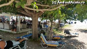 [P10] Terasa de la Beach Bar -Grand Nefeli » foto by andi13
 - 
<span class="allrVoted glyphicon glyphicon-heart hidden" id="av668600"></span>
<a class="m-l-10 hidden" id="sv668600" onclick="voting_Foto_DelVot(,668600,14400)" role="button">șterge vot <span class="glyphicon glyphicon-remove"></span></a>
<a id="v9668600" class=" c-red"  onclick="voting_Foto_SetVot(668600)" role="button"><span class="glyphicon glyphicon-heart-empty"></span> <b>LIKE</b> = Votează poza</a> <img class="hidden"  id="f668600W9" src="/imagini/loader.gif" border="0" /><span class="AjErrMes hidden" id="e668600ErM"></span>
