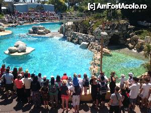 [P10] Marineland - Antibes... in așteptarea spectacolului cu leii de mare » foto by Babygras
 - 
<span class="allrVoted glyphicon glyphicon-heart hidden" id="av432367"></span>
<a class="m-l-10 hidden" id="sv432367" onclick="voting_Foto_DelVot(,432367,14411)" role="button">șterge vot <span class="glyphicon glyphicon-remove"></span></a>
<a id="v9432367" class=" c-red"  onclick="voting_Foto_SetVot(432367)" role="button"><span class="glyphicon glyphicon-heart-empty"></span> <b>LIKE</b> = Votează poza</a> <img class="hidden"  id="f432367W9" src="/imagini/loader.gif" border="0" /><span class="AjErrMes hidden" id="e432367ErM"></span>