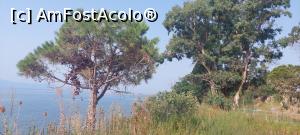 [P33] Vedere de pe șosea în apropiere de Ouranopoli » foto by Carmen Ion
 - 
<span class="allrVoted glyphicon glyphicon-heart hidden" id="av1339510"></span>
<a class="m-l-10 hidden" id="sv1339510" onclick="voting_Foto_DelVot(,1339510,14414)" role="button">șterge vot <span class="glyphicon glyphicon-remove"></span></a>
<a id="v91339510" class=" c-red"  onclick="voting_Foto_SetVot(1339510)" role="button"><span class="glyphicon glyphicon-heart-empty"></span> <b>LIKE</b> = Votează poza</a> <img class="hidden"  id="f1339510W9" src="/imagini/loader.gif" border="0" /><span class="AjErrMes hidden" id="e1339510ErM"></span>