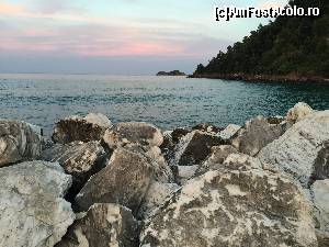 [P02] pe faleza, seara » foto by Dan&Ema
 - 
<span class="allrVoted glyphicon glyphicon-heart hidden" id="av670716"></span>
<a class="m-l-10 hidden" id="sv670716" onclick="voting_Foto_DelVot(,670716,14421)" role="button">șterge vot <span class="glyphicon glyphicon-remove"></span></a>
<a id="v9670716" class=" c-red"  onclick="voting_Foto_SetVot(670716)" role="button"><span class="glyphicon glyphicon-heart-empty"></span> <b>LIKE</b> = Votează poza</a> <img class="hidden"  id="f670716W9" src="/imagini/loader.gif" border="0" /><span class="AjErrMes hidden" id="e670716ErM"></span>