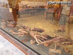 [P05] filmare pirat prin geamul muzeului de folclor (nu prea inteleg de ce ii spunea asa)  » foto by Dan&Ema
 - 
<span class="allrVoted glyphicon glyphicon-heart hidden" id="av670720"></span>
<a class="m-l-10 hidden" id="sv670720" onclick="voting_Foto_DelVot(,670720,14421)" role="button">șterge vot <span class="glyphicon glyphicon-remove"></span></a>
<a id="v9670720" class=" c-red"  onclick="voting_Foto_SetVot(670720)" role="button"><span class="glyphicon glyphicon-heart-empty"></span> <b>LIKE</b> = Votează poza</a> <img class="hidden"  id="f670720W9" src="/imagini/loader.gif" border="0" /><span class="AjErrMes hidden" id="e670720ErM"></span>