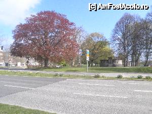 [P02] trecand prin parc pt a intra in oras » foto by grecudoina
 - 
<span class="allrVoted glyphicon glyphicon-heart hidden" id="av439325"></span>
<a class="m-l-10 hidden" id="sv439325" onclick="voting_Foto_DelVot(,439325,14438)" role="button">șterge vot <span class="glyphicon glyphicon-remove"></span></a>
<a id="v9439325" class=" c-red"  onclick="voting_Foto_SetVot(439325)" role="button"><span class="glyphicon glyphicon-heart-empty"></span> <b>LIKE</b> = Votează poza</a> <img class="hidden"  id="f439325W9" src="/imagini/loader.gif" border="0" /><span class="AjErrMes hidden" id="e439325ErM"></span>