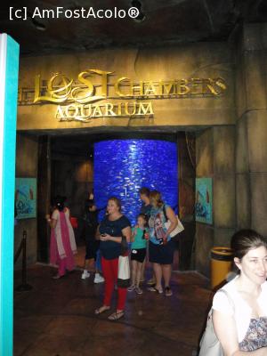 [P04] Lost Chambers Atlantis The Palm Hotel » foto by Noha
 - 
<span class="allrVoted glyphicon glyphicon-heart hidden" id="av707059"></span>
<a class="m-l-10 hidden" id="sv707059" onclick="voting_Foto_DelVot(,707059,14438)" role="button">șterge vot <span class="glyphicon glyphicon-remove"></span></a>
<a id="v9707059" class=" c-red"  onclick="voting_Foto_SetVot(707059)" role="button"><span class="glyphicon glyphicon-heart-empty"></span> <b>LIKE</b> = Votează poza</a> <img class="hidden"  id="f707059W9" src="/imagini/loader.gif" border="0" /><span class="AjErrMes hidden" id="e707059ErM"></span>