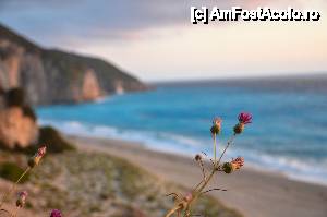 [P64] Plaja Milos, apus » foto by Muffin2009*
 - 
<span class="allrVoted glyphicon glyphicon-heart hidden" id="av439871"></span>
<a class="m-l-10 hidden" id="sv439871" onclick="voting_Foto_DelVot(,439871,14442)" role="button">șterge vot <span class="glyphicon glyphicon-remove"></span></a>
<a id="v9439871" class=" c-red"  onclick="voting_Foto_SetVot(439871)" role="button"><span class="glyphicon glyphicon-heart-empty"></span> <b>LIKE</b> = Votează poza</a> <img class="hidden"  id="f439871W9" src="/imagini/loader.gif" border="0" /><span class="AjErrMes hidden" id="e439871ErM"></span>