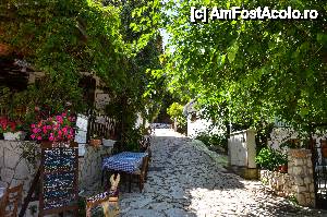 [P07] Acesta este drumul pe care trebuie sa il urmati pe langa taverna Posseidon » foto by Muffin2009*
 - 
<span class="allrVoted glyphicon glyphicon-heart hidden" id="av439803"></span>
<a class="m-l-10 hidden" id="sv439803" onclick="voting_Foto_DelVot(,439803,14442)" role="button">șterge vot <span class="glyphicon glyphicon-remove"></span></a>
<a id="v9439803" class=" c-red"  onclick="voting_Foto_SetVot(439803)" role="button"><span class="glyphicon glyphicon-heart-empty"></span> <b>LIKE</b> = Votează poza</a> <img class="hidden"  id="f439803W9" src="/imagini/loader.gif" border="0" /><span class="AjErrMes hidden" id="e439803ErM"></span>