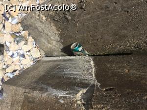 [P56] Amprenta turiștilor, 2016 » foto by krisstinna
 - 
<span class="allrVoted glyphicon glyphicon-heart hidden" id="av868740"></span>
<a class="m-l-10 hidden" id="sv868740" onclick="voting_Foto_DelVot(,868740,14457)" role="button">șterge vot <span class="glyphicon glyphicon-remove"></span></a>
<a id="v9868740" class=" c-red"  onclick="voting_Foto_SetVot(868740)" role="button"><span class="glyphicon glyphicon-heart-empty"></span> <b>LIKE</b> = Votează poza</a> <img class="hidden"  id="f868740W9" src="/imagini/loader.gif" border="0" /><span class="AjErrMes hidden" id="e868740ErM"></span>