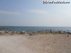 [P02] Peisaje ce le vezi mergand pe faleza catre nord... plaja neamenajata, ridicata de urgenta dupa ce a fost inghitita de mare, stabilopozii vechiului dig in mare, inecati. Dar e liniste si se poate face plaja.  » foto by alle4295
 - 
<span class="allrVoted glyphicon glyphicon-heart hidden" id="av648175"></span>
<a class="m-l-10 hidden" id="sv648175" onclick="voting_Foto_DelVot(,648175,14458)" role="button">șterge vot <span class="glyphicon glyphicon-remove"></span></a>
<a id="v9648175" class=" c-red"  onclick="voting_Foto_SetVot(648175)" role="button"><span class="glyphicon glyphicon-heart-empty"></span> <b>LIKE</b> = Votează poza</a> <img class="hidden"  id="f648175W9" src="/imagini/loader.gif" border="0" /><span class="AjErrMes hidden" id="e648175ErM"></span>