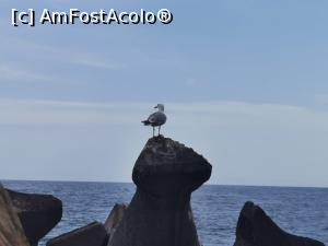 [P33] Liniște, nimic de halimos? » foto by krisstinna
 - 
<span class="allrVoted glyphicon glyphicon-heart hidden" id="av1175533"></span>
<a class="m-l-10 hidden" id="sv1175533" onclick="voting_Foto_DelVot(,1175533,14458)" role="button">șterge vot <span class="glyphicon glyphicon-remove"></span></a>
<a id="v91175533" class=" c-red"  onclick="voting_Foto_SetVot(1175533)" role="button"><span class="glyphicon glyphicon-heart-empty"></span> <b>LIKE</b> = Votează poza</a> <img class="hidden"  id="f1175533W9" src="/imagini/loader.gif" border="0" /><span class="AjErrMes hidden" id="e1175533ErM"></span>
