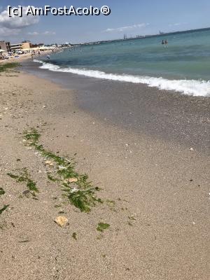 [P52] The Beach, între Eforii » foto by krisstinna
 - 
<span class="allrVoted glyphicon glyphicon-heart hidden" id="av1175552"></span>
<a class="m-l-10 hidden" id="sv1175552" onclick="voting_Foto_DelVot(,1175552,14458)" role="button">șterge vot <span class="glyphicon glyphicon-remove"></span></a>
<a id="v91175552" class=" c-red"  onclick="voting_Foto_SetVot(1175552)" role="button"><span class="glyphicon glyphicon-heart-empty"></span> <b>LIKE</b> = Votează poza</a> <img class="hidden"  id="f1175552W9" src="/imagini/loader.gif" border="0" /><span class="AjErrMes hidden" id="e1175552ErM"></span>