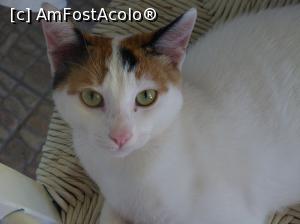 [P12] Alintata complexului » foto by fredutza
 - 
<span class="allrVoted glyphicon glyphicon-heart hidden" id="av909023"></span>
<a class="m-l-10 hidden" id="sv909023" onclick="voting_Foto_DelVot(,909023,14459)" role="button">șterge vot <span class="glyphicon glyphicon-remove"></span></a>
<a id="v9909023" class=" c-red"  onclick="voting_Foto_SetVot(909023)" role="button"><span class="glyphicon glyphicon-heart-empty"></span> <b>LIKE</b> = Votează poza</a> <img class="hidden"  id="f909023W9" src="/imagini/loader.gif" border="0" /><span class="AjErrMes hidden" id="e909023ErM"></span>