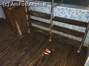 [P01] Podeaua gaurita si putrezita de la spa » foto by Vio D
 - 
<span class="allrVoted glyphicon glyphicon-heart hidden" id="av1077638"></span>
<a class="m-l-10 hidden" id="sv1077638" onclick="voting_Foto_DelVot(,1077638,14481)" role="button">șterge vot <span class="glyphicon glyphicon-remove"></span></a>
<a id="v91077638" class=" c-red"  onclick="voting_Foto_SetVot(1077638)" role="button"><span class="glyphicon glyphicon-heart-empty"></span> <b>LIKE</b> = Votează poza</a> <img class="hidden"  id="f1077638W9" src="/imagini/loader.gif" border="0" /><span class="AjErrMes hidden" id="e1077638ErM"></span>