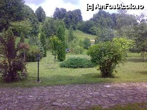 [P01] gradina superba » foto by danette*
 - 
<span class="allrVoted glyphicon glyphicon-heart hidden" id="av460900"></span>
<a class="m-l-10 hidden" id="sv460900" onclick="voting_Foto_DelVot(,460900,14486)" role="button">șterge vot <span class="glyphicon glyphicon-remove"></span></a>
<a id="v9460900" class=" c-red"  onclick="voting_Foto_SetVot(460900)" role="button"><span class="glyphicon glyphicon-heart-empty"></span> <b>LIKE</b> = Votează poza</a> <img class="hidden"  id="f460900W9" src="/imagini/loader.gif" border="0" /><span class="AjErrMes hidden" id="e460900ErM"></span>
