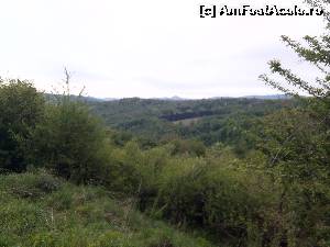 [P24]  -- <small>// FĂRĂ DESCRIERE</small> » foto by georgel
 - 
<span class="allrVoted glyphicon glyphicon-heart hidden" id="av620072"></span>
<a class="m-l-10 hidden" id="sv620072" onclick="voting_Foto_DelVot(,620072,14493)" role="button">șterge vot <span class="glyphicon glyphicon-remove"></span></a>
<a id="v9620072" class=" c-red"  onclick="voting_Foto_SetVot(620072)" role="button"><span class="glyphicon glyphicon-heart-empty"></span> <b>LIKE</b> = Votează poza</a> <img class="hidden"  id="f620072W9" src="/imagini/loader.gif" border="0" /><span class="AjErrMes hidden" id="e620072ErM"></span>