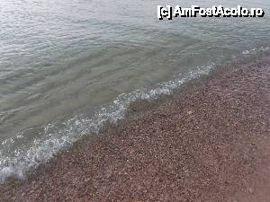 [P05]  -- <small>// FĂRĂ DESCRIERE</small> » foto by mariuscfar
 - 
<span class="allrVoted glyphicon glyphicon-heart hidden" id="av471464"></span>
<a class="m-l-10 hidden" id="sv471464" onclick="voting_Foto_DelVot(,471464,14494)" role="button">șterge vot <span class="glyphicon glyphicon-remove"></span></a>
<a id="v9471464" class=" c-red"  onclick="voting_Foto_SetVot(471464)" role="button"><span class="glyphicon glyphicon-heart-empty"></span> <b>LIKE</b> = Votează poza</a> <img class="hidden"  id="f471464W9" src="/imagini/loader.gif" border="0" /><span class="AjErrMes hidden" id="e471464ErM"></span>