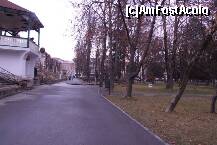 [P26] Sfântu Gheorghe (jud. Covasna) - parcul Elisabeta. » foto by Dragoș_MD
 - 
<span class="allrVoted glyphicon glyphicon-heart hidden" id="av283316"></span>
<a class="m-l-10 hidden" id="sv283316" onclick="voting_Foto_DelVot(,283316,14513)" role="button">șterge vot <span class="glyphicon glyphicon-remove"></span></a>
<a id="v9283316" class=" c-red"  onclick="voting_Foto_SetVot(283316)" role="button"><span class="glyphicon glyphicon-heart-empty"></span> <b>LIKE</b> = Votează poza</a> <img class="hidden"  id="f283316W9" src="/imagini/loader.gif" border="0" /><span class="AjErrMes hidden" id="e283316ErM"></span>