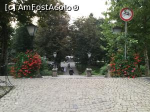 [P30] Sf&acirc;ntu Gheorghe - vedere spre parc » foto by mishu
 - 
<span class="allrVoted glyphicon glyphicon-heart hidden" id="av1186078"></span>
<a class="m-l-10 hidden" id="sv1186078" onclick="voting_Foto_DelVot(,1186078,14513)" role="button">șterge vot <span class="glyphicon glyphicon-remove"></span></a>
<a id="v91186078" class=" c-red"  onclick="voting_Foto_SetVot(1186078)" role="button"><span class="glyphicon glyphicon-heart-empty"></span> <b>LIKE</b> = Votează poza</a> <img class="hidden"  id="f1186078W9" src="/imagini/loader.gif" border="0" /><span class="AjErrMes hidden" id="e1186078ErM"></span>