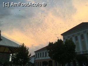 [P45] Sf&acirc;ntu Gheorghe - se lasa seara peste oras » foto by mishu
 - 
<span class="allrVoted glyphicon glyphicon-heart hidden" id="av1186093"></span>
<a class="m-l-10 hidden" id="sv1186093" onclick="voting_Foto_DelVot(,1186093,14513)" role="button">șterge vot <span class="glyphicon glyphicon-remove"></span></a>
<a id="v91186093" class=" c-red"  onclick="voting_Foto_SetVot(1186093)" role="button"><span class="glyphicon glyphicon-heart-empty"></span> <b>LIKE</b> = Votează poza</a> <img class="hidden"  id="f1186093W9" src="/imagini/loader.gif" border="0" /><span class="AjErrMes hidden" id="e1186093ErM"></span>