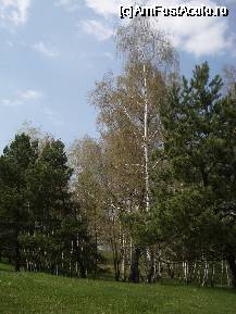 [P10] Rezervatia Mestecanisul de la Reci » foto by ancamariagadea*
 - 
<span class="allrVoted glyphicon glyphicon-heart hidden" id="av69910"></span>
<a class="m-l-10 hidden" id="sv69910" onclick="voting_Foto_DelVot(,69910,14513)" role="button">șterge vot <span class="glyphicon glyphicon-remove"></span></a>
<a id="v969910" class=" c-red"  onclick="voting_Foto_SetVot(69910)" role="button"><span class="glyphicon glyphicon-heart-empty"></span> <b>LIKE</b> = Votează poza</a> <img class="hidden"  id="f69910W9" src="/imagini/loader.gif" border="0" /><span class="AjErrMes hidden" id="e69910ErM"></span>