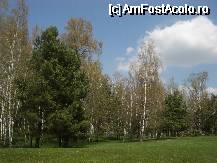 [P12] Rezervatia Mestecanisul de la Reci » foto by ancamariagadea*
 - 
<span class="allrVoted glyphicon glyphicon-heart hidden" id="av69912"></span>
<a class="m-l-10 hidden" id="sv69912" onclick="voting_Foto_DelVot(,69912,14513)" role="button">șterge vot <span class="glyphicon glyphicon-remove"></span></a>
<a id="v969912" class=" c-red"  onclick="voting_Foto_SetVot(69912)" role="button"><span class="glyphicon glyphicon-heart-empty"></span> <b>LIKE</b> = Votează poza</a> <img class="hidden"  id="f69912W9" src="/imagini/loader.gif" border="0" /><span class="AjErrMes hidden" id="e69912ErM"></span>