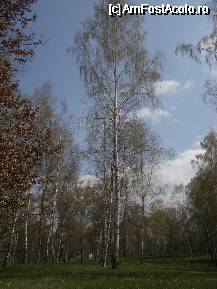 [P05] Cum ar putea cuiva sa nu-i placa acest loc minunat? » foto by ancamariagadea*
 - 
<span class="allrVoted glyphicon glyphicon-heart hidden" id="av69905"></span>
<a class="m-l-10 hidden" id="sv69905" onclick="voting_Foto_DelVot(,69905,14513)" role="button">șterge vot <span class="glyphicon glyphicon-remove"></span></a>
<a id="v969905" class=" c-red"  onclick="voting_Foto_SetVot(69905)" role="button"><span class="glyphicon glyphicon-heart-empty"></span> <b>LIKE</b> = Votează poza</a> <img class="hidden"  id="f69905W9" src="/imagini/loader.gif" border="0" /><span class="AjErrMes hidden" id="e69905ErM"></span>