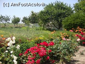 [P21] Florile multicolore ne atrag privirile în continuare.  » foto by Floryn81
 - 
<span class="allrVoted glyphicon glyphicon-heart hidden" id="av753304"></span>
<a class="m-l-10 hidden" id="sv753304" onclick="voting_Foto_DelVot(,753304,14525)" role="button">șterge vot <span class="glyphicon glyphicon-remove"></span></a>
<a id="v9753304" class=" c-red"  onclick="voting_Foto_SetVot(753304)" role="button"><span class="glyphicon glyphicon-heart-empty"></span> <b>LIKE</b> = Votează poza</a> <img class="hidden"  id="f753304W9" src="/imagini/loader.gif" border="0" /><span class="AjErrMes hidden" id="e753304ErM"></span>