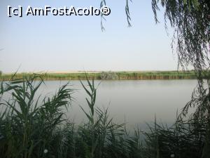 [P30] Am aruncat o privire admirativă către lacul din vecinătatea Popasului Pescarilor. Ce-ar mai merge o partidă de pescuit pitit prin stuful acela! » foto by Floryn81
 - 
<span class="allrVoted glyphicon glyphicon-heart hidden" id="av880746"></span>
<a class="m-l-10 hidden" id="sv880746" onclick="voting_Foto_DelVot(,880746,14525)" role="button">șterge vot <span class="glyphicon glyphicon-remove"></span></a>
<a id="v9880746" class=" c-red"  onclick="voting_Foto_SetVot(880746)" role="button"><span class="glyphicon glyphicon-heart-empty"></span> <b>LIKE</b> = Votează poza</a> <img class="hidden"  id="f880746W9" src="/imagini/loader.gif" border="0" /><span class="AjErrMes hidden" id="e880746ErM"></span>