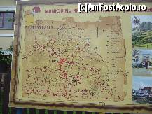 [P10]  -- <small>// FĂRĂ DESCRIERE</small> » foto by Paty
 - 
<span class="allrVoted glyphicon glyphicon-heart hidden" id="av164338"></span>
<a class="m-l-10 hidden" id="sv164338" onclick="voting_Foto_DelVot(,164338,14527)" role="button">șterge vot <span class="glyphicon glyphicon-remove"></span></a>
<a id="v9164338" class=" c-red"  onclick="voting_Foto_SetVot(164338)" role="button"><span class="glyphicon glyphicon-heart-empty"></span> <b>LIKE</b> = Votează poza</a> <img class="hidden"  id="f164338W9" src="/imagini/loader.gif" border="0" /><span class="AjErrMes hidden" id="e164338ErM"></span>