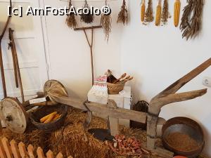 [P12] Exponate ce pun în valoare muncile câmpului.  » foto by Floryn81
 - 
<span class="allrVoted glyphicon glyphicon-heart hidden" id="av1132139"></span>
<a class="m-l-10 hidden" id="sv1132139" onclick="voting_Foto_DelVot(,1132139,14527)" role="button">șterge vot <span class="glyphicon glyphicon-remove"></span></a>
<a id="v91132139" class=" c-red"  onclick="voting_Foto_SetVot(1132139)" role="button"><span class="glyphicon glyphicon-heart-empty"></span> <b>LIKE</b> = Votează poza</a> <img class="hidden"  id="f1132139W9" src="/imagini/loader.gif" border="0" /><span class="AjErrMes hidden" id="e1132139ErM"></span>