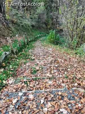 [P01] scări acces » foto by Ccucu
 - 
<span class="allrVoted glyphicon glyphicon-heart hidden" id="av1046506"></span>
<a class="m-l-10 hidden" id="sv1046506" onclick="voting_Foto_DelVot(,1046506,14527)" role="button">șterge vot <span class="glyphicon glyphicon-remove"></span></a>
<a id="v91046506" class=" c-red"  onclick="voting_Foto_SetVot(1046506)" role="button"><span class="glyphicon glyphicon-heart-empty"></span> <b>LIKE</b> = Votează poza</a> <img class="hidden"  id="f1046506W9" src="/imagini/loader.gif" border="0" /><span class="AjErrMes hidden" id="e1046506ErM"></span>