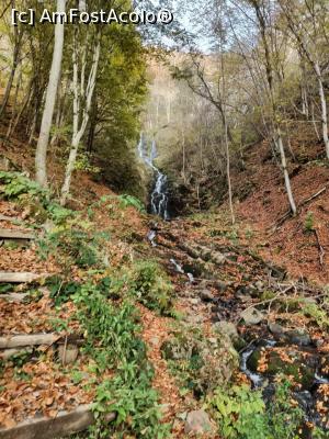 [P10] Cascada Săritoarea » foto by Ccucu
 - 
<span class="allrVoted glyphicon glyphicon-heart hidden" id="av1046515"></span>
<a class="m-l-10 hidden" id="sv1046515" onclick="voting_Foto_DelVot(,1046515,14527)" role="button">șterge vot <span class="glyphicon glyphicon-remove"></span></a>
<a id="v91046515" class=" c-red"  onclick="voting_Foto_SetVot(1046515)" role="button"><span class="glyphicon glyphicon-heart-empty"></span> <b>LIKE</b> = Votează poza</a> <img class="hidden"  id="f1046515W9" src="/imagini/loader.gif" border="0" /><span class="AjErrMes hidden" id="e1046515ErM"></span>