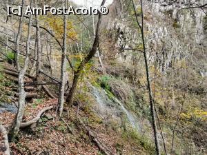 [P11] Cascada Săritoarea » foto by Ccucu
 - 
<span class="allrVoted glyphicon glyphicon-heart hidden" id="av1046516"></span>
<a class="m-l-10 hidden" id="sv1046516" onclick="voting_Foto_DelVot(,1046516,14527)" role="button">șterge vot <span class="glyphicon glyphicon-remove"></span></a>
<a id="v91046516" class=" c-red"  onclick="voting_Foto_SetVot(1046516)" role="button"><span class="glyphicon glyphicon-heart-empty"></span> <b>LIKE</b> = Votează poza</a> <img class="hidden"  id="f1046516W9" src="/imagini/loader.gif" border="0" /><span class="AjErrMes hidden" id="e1046516ErM"></span>