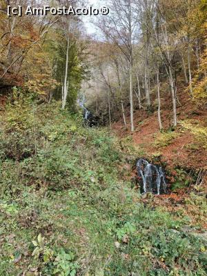 [P12] Cascada Săritoarea » foto by Ccucu
 - 
<span class="allrVoted glyphicon glyphicon-heart hidden" id="av1046517"></span>
<a class="m-l-10 hidden" id="sv1046517" onclick="voting_Foto_DelVot(,1046517,14527)" role="button">șterge vot <span class="glyphicon glyphicon-remove"></span></a>
<a id="v91046517" class=" c-red"  onclick="voting_Foto_SetVot(1046517)" role="button"><span class="glyphicon glyphicon-heart-empty"></span> <b>LIKE</b> = Votează poza</a> <img class="hidden"  id="f1046517W9" src="/imagini/loader.gif" border="0" /><span class="AjErrMes hidden" id="e1046517ErM"></span>