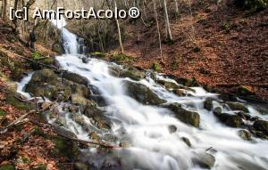 [P14] Cascada Săritoarea » foto by Ccucu
 - 
<span class="allrVoted glyphicon glyphicon-heart hidden" id="av1046519"></span>
<a class="m-l-10 hidden" id="sv1046519" onclick="voting_Foto_DelVot(,1046519,14527)" role="button">șterge vot <span class="glyphicon glyphicon-remove"></span></a>
<a id="v91046519" class=" c-red"  onclick="voting_Foto_SetVot(1046519)" role="button"><span class="glyphicon glyphicon-heart-empty"></span> <b>LIKE</b> = Votează poza</a> <img class="hidden"  id="f1046519W9" src="/imagini/loader.gif" border="0" /><span class="AjErrMes hidden" id="e1046519ErM"></span>