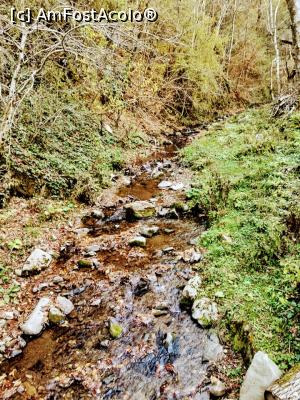 [P04] Cascada Săritoarea » foto by Ccucu
 - 
<span class="allrVoted glyphicon glyphicon-heart hidden" id="av1046509"></span>
<a class="m-l-10 hidden" id="sv1046509" onclick="voting_Foto_DelVot(,1046509,14527)" role="button">șterge vot <span class="glyphicon glyphicon-remove"></span></a>
<a id="v91046509" class=" c-red"  onclick="voting_Foto_SetVot(1046509)" role="button"><span class="glyphicon glyphicon-heart-empty"></span> <b>LIKE</b> = Votează poza</a> <img class="hidden"  id="f1046509W9" src="/imagini/loader.gif" border="0" /><span class="AjErrMes hidden" id="e1046509ErM"></span>