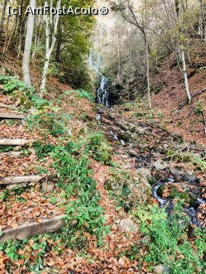 [P05] Cascada Săritoarea » foto by Ccucu
 - 
<span class="allrVoted glyphicon glyphicon-heart hidden" id="av1046510"></span>
<a class="m-l-10 hidden" id="sv1046510" onclick="voting_Foto_DelVot(,1046510,14527)" role="button">șterge vot <span class="glyphicon glyphicon-remove"></span></a>
<a id="v91046510" class=" c-red"  onclick="voting_Foto_SetVot(1046510)" role="button"><span class="glyphicon glyphicon-heart-empty"></span> <b>LIKE</b> = Votează poza</a> <img class="hidden"  id="f1046510W9" src="/imagini/loader.gif" border="0" /><span class="AjErrMes hidden" id="e1046510ErM"></span>