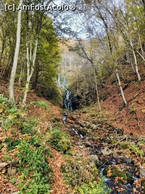 [P06] Cascada Săritoarea » foto by Ccucu
 - 
<span class="allrVoted glyphicon glyphicon-heart hidden" id="av1046511"></span>
<a class="m-l-10 hidden" id="sv1046511" onclick="voting_Foto_DelVot(,1046511,14527)" role="button">șterge vot <span class="glyphicon glyphicon-remove"></span></a>
<a id="v91046511" class=" c-red"  onclick="voting_Foto_SetVot(1046511)" role="button"><span class="glyphicon glyphicon-heart-empty"></span> <b>LIKE</b> = Votează poza</a> <img class="hidden"  id="f1046511W9" src="/imagini/loader.gif" border="0" /><span class="AjErrMes hidden" id="e1046511ErM"></span>