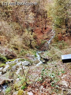 [P07] Cascada Săritoarea » foto by Ccucu
 - 
<span class="allrVoted glyphicon glyphicon-heart hidden" id="av1046512"></span>
<a class="m-l-10 hidden" id="sv1046512" onclick="voting_Foto_DelVot(,1046512,14527)" role="button">șterge vot <span class="glyphicon glyphicon-remove"></span></a>
<a id="v91046512" class=" c-red"  onclick="voting_Foto_SetVot(1046512)" role="button"><span class="glyphicon glyphicon-heart-empty"></span> <b>LIKE</b> = Votează poza</a> <img class="hidden"  id="f1046512W9" src="/imagini/loader.gif" border="0" /><span class="AjErrMes hidden" id="e1046512ErM"></span>