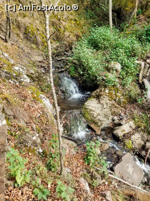 [P09] Cascada Săritoarea » foto by Ccucu
 - 
<span class="allrVoted glyphicon glyphicon-heart hidden" id="av1046514"></span>
<a class="m-l-10 hidden" id="sv1046514" onclick="voting_Foto_DelVot(,1046514,14527)" role="button">șterge vot <span class="glyphicon glyphicon-remove"></span></a>
<a id="v91046514" class=" c-red"  onclick="voting_Foto_SetVot(1046514)" role="button"><span class="glyphicon glyphicon-heart-empty"></span> <b>LIKE</b> = Votează poza</a> <img class="hidden"  id="f1046514W9" src="/imagini/loader.gif" border="0" /><span class="AjErrMes hidden" id="e1046514ErM"></span>