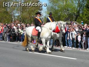 [P09] Grupul Junilor Bătrâni » foto by Claudiu U.
 - 
<span class="allrVoted glyphicon glyphicon-heart hidden" id="av847804"></span>
<a class="m-l-10 hidden" id="sv847804" onclick="voting_Foto_DelVot(,847804,14550)" role="button">șterge vot <span class="glyphicon glyphicon-remove"></span></a>
<a id="v9847804" class=" c-red"  onclick="voting_Foto_SetVot(847804)" role="button"><span class="glyphicon glyphicon-heart-empty"></span> <b>LIKE</b> = Votează poza</a> <img class="hidden"  id="f847804W9" src="/imagini/loader.gif" border="0" /><span class="AjErrMes hidden" id="e847804ErM"></span>