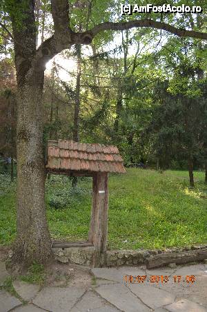 [P10] Loc de odihna.  » foto by fregata
 - 
<span class="allrVoted glyphicon glyphicon-heart hidden" id="av438159"></span>
<a class="m-l-10 hidden" id="sv438159" onclick="voting_Foto_DelVot(,438159,14561)" role="button">șterge vot <span class="glyphicon glyphicon-remove"></span></a>
<a id="v9438159" class=" c-red"  onclick="voting_Foto_SetVot(438159)" role="button"><span class="glyphicon glyphicon-heart-empty"></span> <b>LIKE</b> = Votează poza</a> <img class="hidden"  id="f438159W9" src="/imagini/loader.gif" border="0" /><span class="AjErrMes hidden" id="e438159ErM"></span>